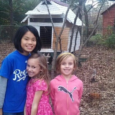 The Little Village at Tri Cycle Farms