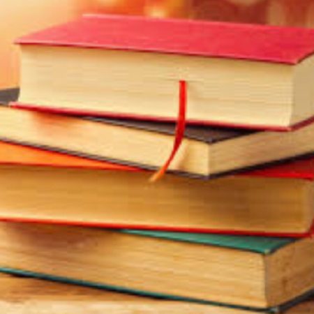 Switching gears: Lynn Matar and Mr. Didominico talk about fictional books and what makes them interesting
