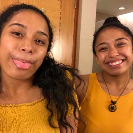 Insight into the life of twins