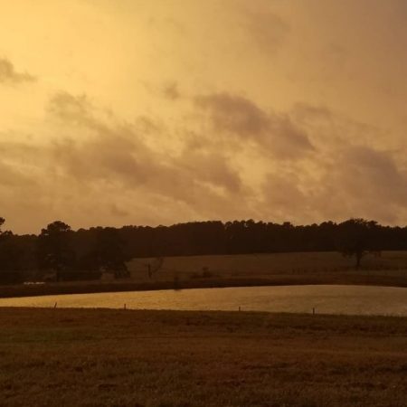 West, Micayla - Great Thanksgiving Listen