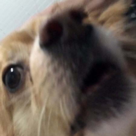 i n t e r v i e w