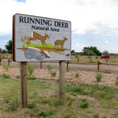 Volunteering at Fort Collins Natural Areas and Museum of Discovery